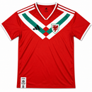 Camisa Seleção País de Gales Edição Especial Torcedor 2026